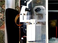 Pi Zero Case with Swivel Camera mount by lukeazadee