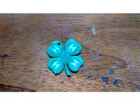 4-H Clover Keychain by chickenchuck040