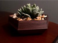 Hexagonal Succulent Planter by Nitrex88
