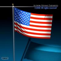 Flag Usa3d model