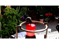 Hummingbird Feeder Cap by btmura