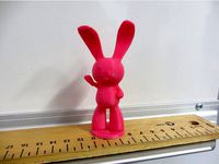 Funny Bunny by CentaurDesign