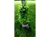11in Dia Split Pot by ragingrivers