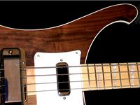 Rickenbacker 4003 Bass Thumb Rest by papabravo