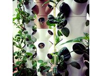 Modular Hydroponic System by archipelagourbanfarms