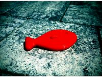 Pool-Fish by Supeso
