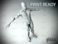 Male body Std Mat Printable3d model
