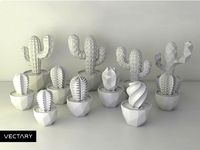 VECTARY Succulent Collection by VECTARY