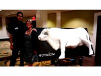 Veronin - CrowdCow - Portland, OR 3D Printed Cow - Half a Cow by MazAndAttero