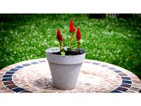 Flower Pot by Desktop_Makes