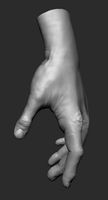 Hand3d model