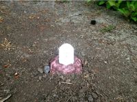 RIP Birdie by DataDink