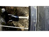 Small Horn Bicycle Valve Cap (Presta) by rossux