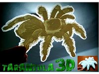 tarantula lithophane by tresdlito