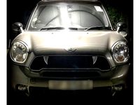 Teeth on Mini Countryman R60 Grille by Kty75