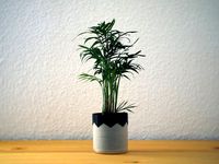 Composite planter by Tokytome