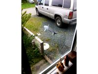 "Flee Willy" by waltmc