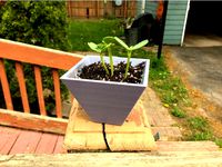 Simple Planter by zack1234577