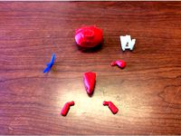 Reverse engineering of a bear toy by SushiSlices