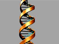 DNA by Dragosh