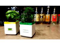 Square Self-Watering Planter (Mini) by sjdennis