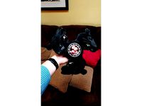 Fidget of Unusual Size (Giant Rodent Fidget Spinner) by The_Geek_Doc