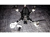picnic quad efficiency BL motormount by Takoza