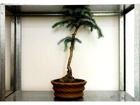 Planter #1 by unwohlpol