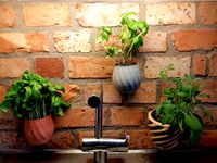 wallmounted flowerpot by PRATRIK