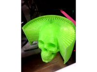 Hairly Skull by ELRAZ