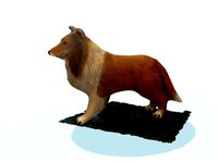 Rough Collie by hanna79993