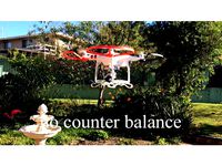 Phantom 3 Standard Filter Gimbal Counter Balance by Cameras