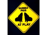 Guinea Pigs At Play Sign by Tasmaniac-Chris