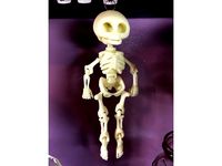 One Piece Print Dangling Skeleton by jfrisc20