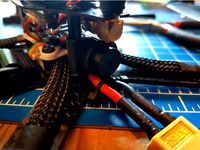Diatone Grasshopper 160 Beeper holder by FlyinSteve