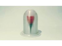 valentines day-Rose and glass by juicter