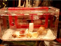 Small Test Tube Formicarium Ant Farm by HorizonCreation3D
