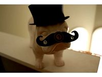 Mustache Ride(Mustache spinner) by sk8rjess