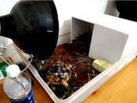 Basic Tortoise House by driggle82