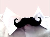 The Stash  by Jstander