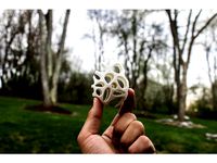 Voronoi Easter Egg by ChrisFerenceID