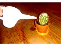 Watering Can by R23D2