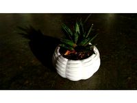 Mini Planter 2 by MarkPalmer
