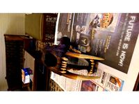 Saber tooth tiger by harddrv1