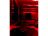 Tiki Head by jedaward