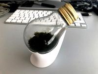 Lightbulb Eco System by Pakue