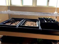 Grow Lamp for Indoor Garden by myroboticsdotca