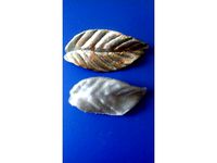 Carved leaf by stcisz