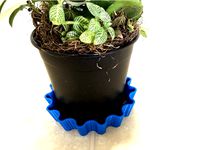 Flower Pot Dish by CVMichael