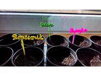 Plant Labels - Polish by PiotrekSul